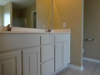 28803 Comal River Ct, Spring TX  77386-3113 exterior