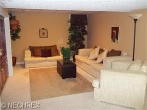 469 Countryside Dr, Cleveland OH  44147-3419 exterior