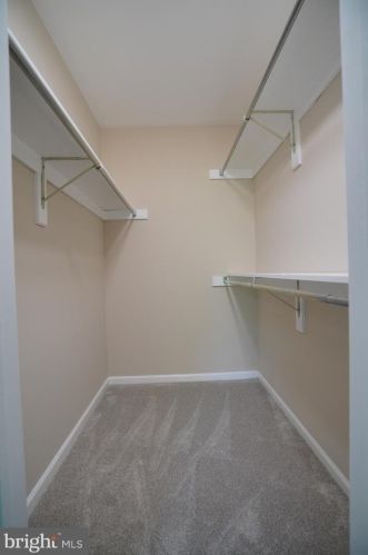 4503 Hazeltine Ct, Alexandria VA 22312-3206 exterior