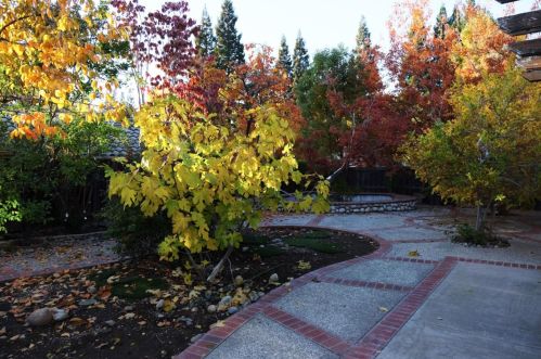 100 John Henry Cir, Folsom CA 95630-8132 exterior