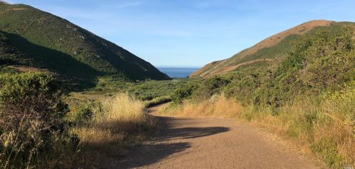 390 Lowell Ave, Mill Valley CA 94941-3846 exterior