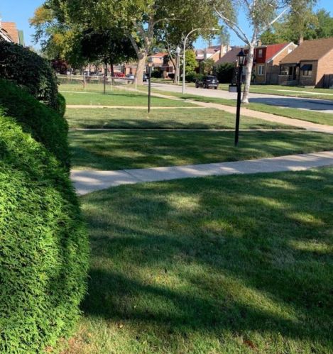 9748 Union Ave, Chicago IL  60628-1019 exterior