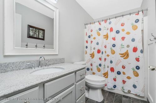 13235 Speckledwood Dr, Dewitt MI  48820-8166 exterior