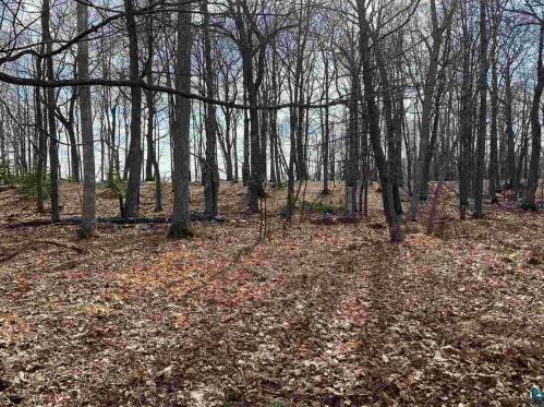 25 Howard Gnesen Rd, Duluth MN 55811-1657 exterior