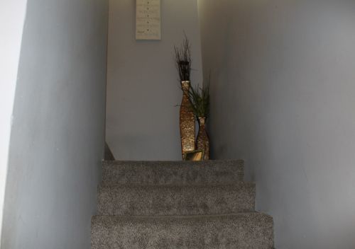 7326 Champlain Ave, Chicago IL 60619-1829 exterior