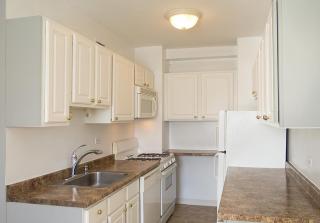 1100 Dearborn St, Chicago IL  60610-7175 exterior