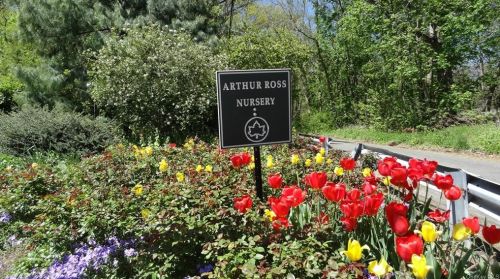 4320 Van Cortlandt Park, Bronx NY  10470-1952 exterior