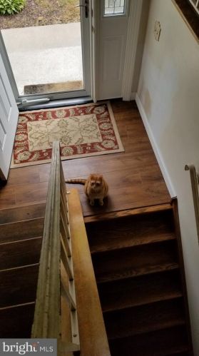 26 Acres Dr, Trenton NJ 08690-3915 exterior