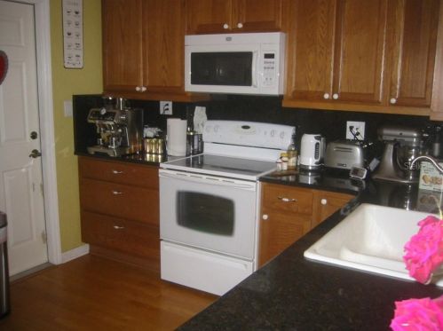 10130 Oleander Dr, Port Richey FL 34668-3253 exterior