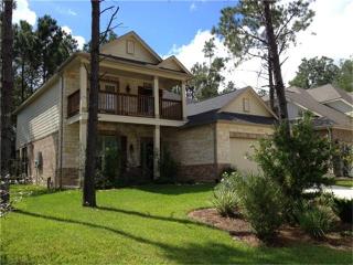 27 Sawbridge Cir, Spring TX  77389-5138 exterior