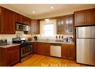 16 Richardson St, Boston MA  02135 exterior