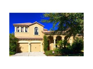 8254 Dunham Station Dr, Tampa FL  33647-3342 exterior
