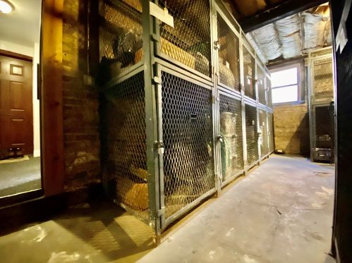 941 Gordon Ter, Chicago IL  60613-2167 exterior