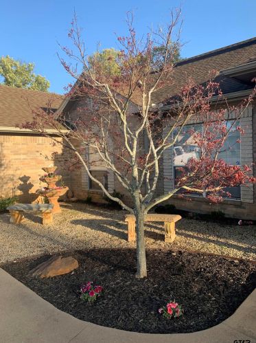 704 Cheryl St, Longview TX 75604-1044 exterior