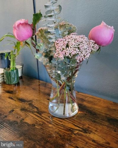 6312 10th St, Philadelphia PA 19141-3804 exterior