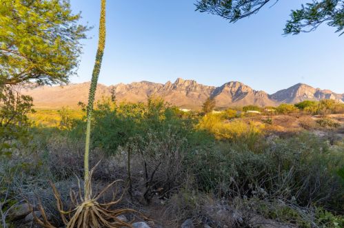 1800 Andromeda Pl, Tucson, AZ 85737-3412