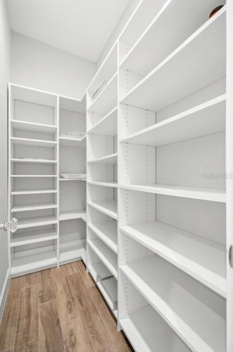 3311 Empedrado St, Tampa FL  33629-7110 exterior