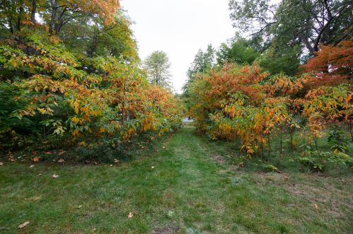 1292 Peterson Rd, Meskegon MI 49445-9676 exterior