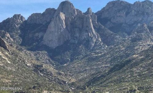 11656 Silverwood Dr, Tucson AZ 85739-1003 exterior