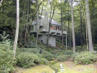 830 Blackberry Trl, Sapphire, NC 28774-8622