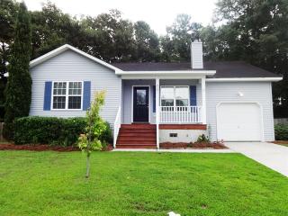 2201 Sawmill Trace Ln, Charleston SC  29420-8261 exterior