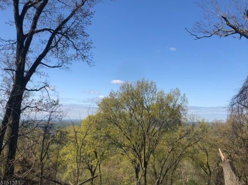 1916 Mountain Top Rd, Bridgewater, NJ 08807-2309