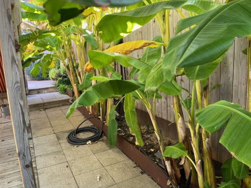 1109 6th St, Austin TX exterior