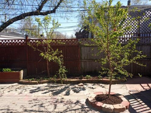 6449 Claremont Ave, Chicago IL 60645-1704 exterior