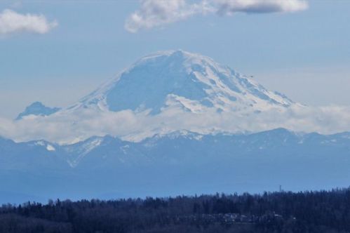 7119 129th Pl, Seattle, WA 98178-4713