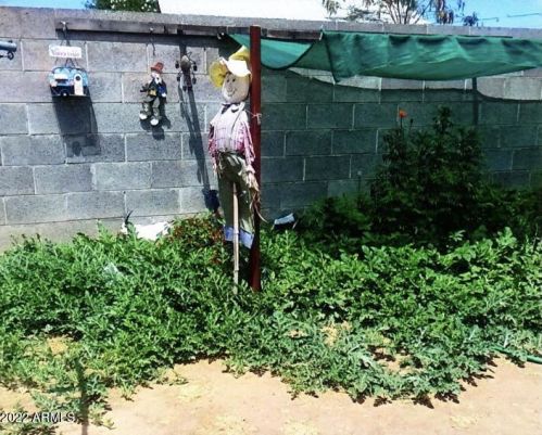 10236 15 Dr, Phoenix AZ 85027-4201 exterior