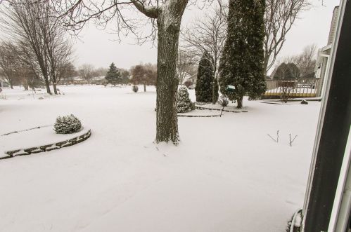 4517 Clayton Crst Ave, Milwaukee WI 53221-3732 exterior