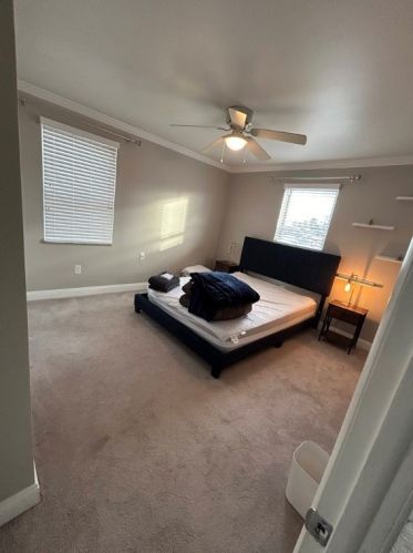 1228 Bellaire Pl, Pittsburgh PA  15226-1828 exterior