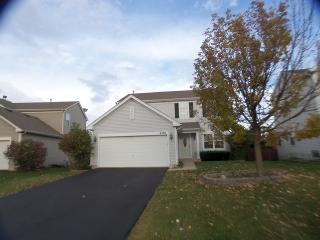 2296 Shiloh Dr, Aurora IL  60503-6289 exterior