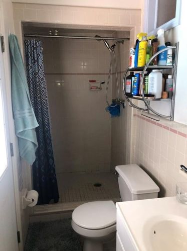 8005 Pne Hl Dr, Tampa FL 33617-7602 exterior