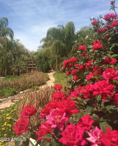 4102 Scorpio Pl, Chandler AZ 85249-5845 exterior