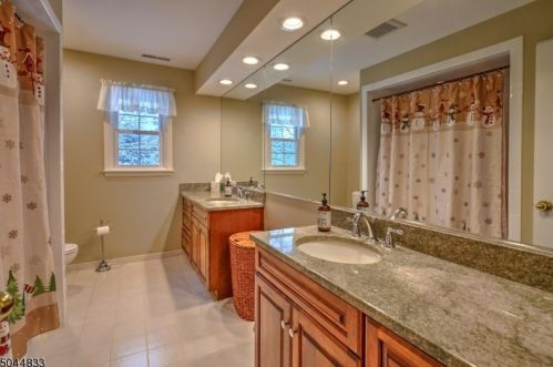 6 Ryan Ct, Chester NJ 07930-3002 exterior