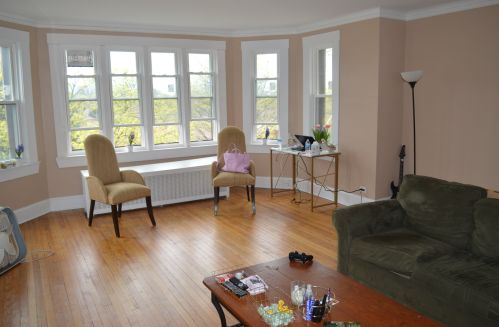 8230 Michigan Ave, Chicago, IL 60619-4716