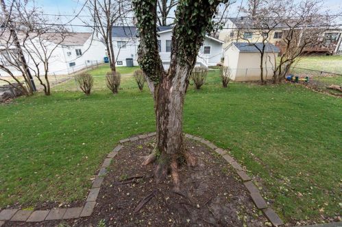 6413 Kingsway Dr, Saint Louis MO 63123-1529 exterior