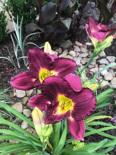 1866 Braeburn Cir, Atlanta GA 30316-2218 exterior