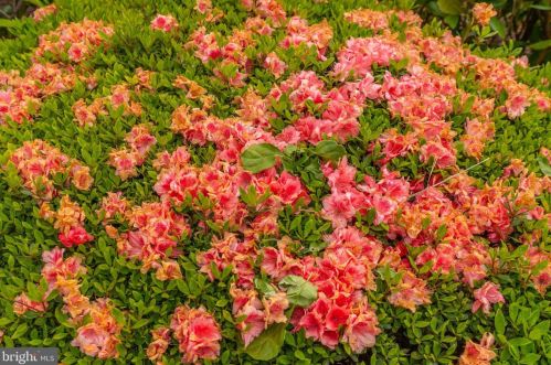 3600 Conshohocken Ave, Philadelphia PA 19131-5363 exterior