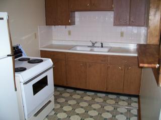 1213 Paula Dr, Champaign IL  61821-1638 exterior