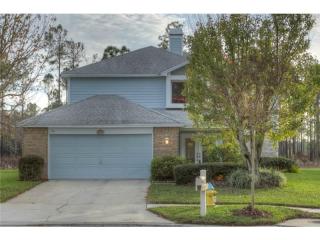 9017 Quail Creek Dr, Tampa FL  33647-2226 exterior