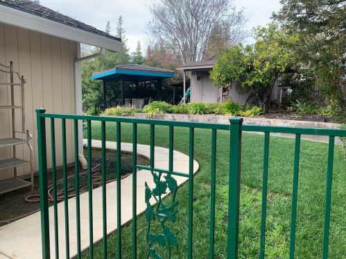 158 Cyn Rim Dr, Folsom CA 95630-2040 exterior