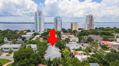 3110 Ekonomou Ct, Tampa FL  33629-8810 exterior