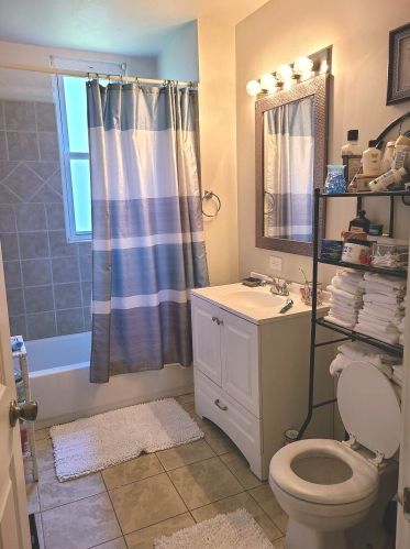 9326 Luella Ave, Chicago IL 60649-4108 exterior