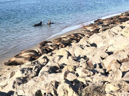 320 Rossmore Dr, Oxnard CA  93035-4465 exterior