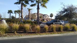 27032 Cool Stream Ln, Zephyrhills FL  33544-7879 exterior