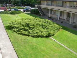 5107 24th Ave, Seattle WA  98105-3235 exterior