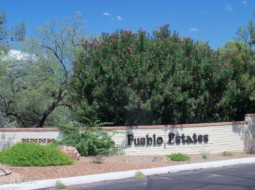 225 Mora Dr, Green Valley AZ 85614-4318 exterior