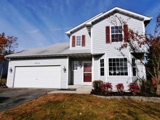 3713 Flowermeadow St, Joliet, IL 60431-8754